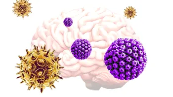 Un nou studiu leagă din nou infecțiile virale de boala Alzheimer: peste 500.000 de dosare medicale analizate