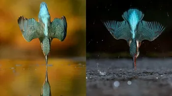 Cum a recreat un fotograf o imagine în doar câteva minute, cu tehnologie foto de ultimă generație, după ce anterior se chinuise ani de zile pentru cadrul perfect