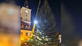 Cel mai înalt brad de Crăciun din România va fi instalat la Brașov. Când va fi aprins oficial