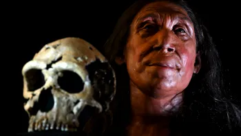 Neanderthalienii nu au dispărut complet: cercetătorii arată că au devenit parte din populația umană modernă