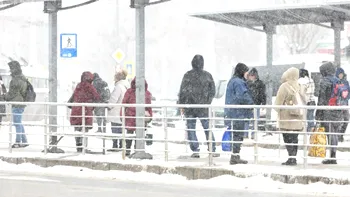 Ninsori și vijelii în mai multe zone din țară. ANM a emis cod galben și de ploi puternice în șase județe