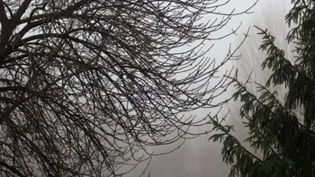 Ploi și temperaturi neobișnuite în noiembrie. Meteorologii au emis prognoza pentru următoarele patru săptămâni