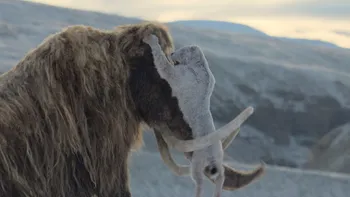 „Prehistoric Planet: Ice Age” dezvăluie o luptă spectaculoasă între mamuți lânoși și feline cu dinți-sabie