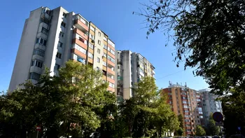 Reguli la bloc în 2025: Ce ai voie să păstrezi pe casa scării. Se pot da amenzi pentru plantele și ghivecele decorative
