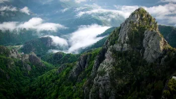 Revenire spectaculoasă, în România, în regnul animal: o specie dispărută revine în sălbăticie după aproape 100 de ani