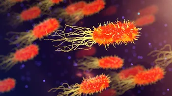 Bacteriile modificate genetic, noua frontieră în lupta împotriva cancerului: cum ar putea deveni „medicamente vii” capabile să se autodistrugă după tratament