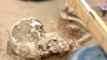 Descoperire excepțională: un craniu de neanderthalian perfect conservat contrazice teoria nasurilor adaptate la frig