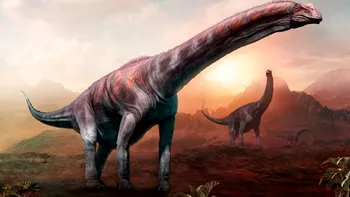 O nouă descoperire ar putea arăta pentru prima dată diferențele dintre dinozaurii masculi și femele