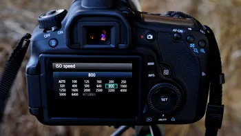 Cum setezi corect expunerea în fotografie: ghid practic despre triada ISO, timp și diafragmă