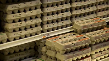 Criză de ouă în România: rafturile se golesc, iar fermierii trimit producția la export