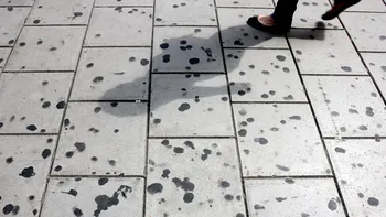 Ce sunt petele negre care apar mereu pe trotuarele din România? Sigur le-ai observat