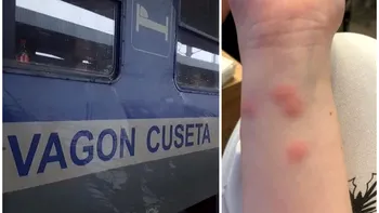 O tânără a avut parte de o călătorie de coșmar cu trenul. A ajuns la destinație plină de mușcături de ploșnițe. Reacția CFR