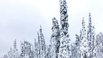 Ce înseamnă ruperea vortexului polar: apare la câţiva ani şi aduce schimbări climatice