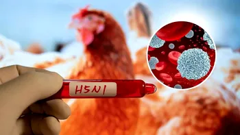 Vaccinul experimental cu administrare nazală, o posibilă soluție de imunizare împotriva gripei aviare