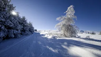 Cât ține valul de ninsori în România. Zonele în care va ninge abundent chiar înainte de sărbători. Prognoza meteo actualizată a ANM