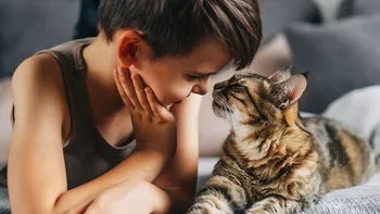 Cum își alege pisica omul preferat: mecanismele secrete ale afecțiunii feline