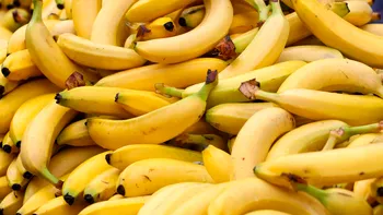 Ora potrivită pentru a consuma banane. Nu se mănâncă dimineaţa, aşa cum fac cei mai mulţi
