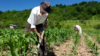 Vechimea în agricultură de dinainte de 1990 ar putea fi recunoscută la pensie. Ce prevede noua propunere legislativă