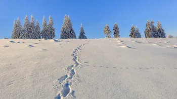Zăpadă de 25 de cm la munte. Zonele din România unde ninge ca-n povești, chiar în Ajunul Crăciunului