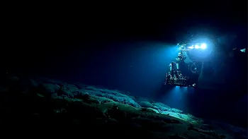 Descoperire majoră în Pacific: specii marine necunoscute găsite la 4.000 m adâncime în urma unui test de minerit