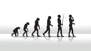 Cel mai longeviv experiment de evoluție continuă din lume a depășit 80.000 de generații
