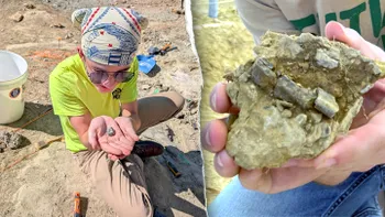 Un elev de liceu descoperă o fosilă de dinozaur, veche de 150 de milioane de ani