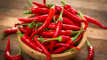 Limba artificială care „degustă” ardeii iuți: Inovația Chinei care schimbă analiza alimentelor