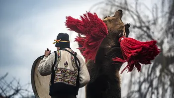 Când se merge cu Pluguşorul, Capra şi Ursul, în funcţie de zonă. Cele mai frumoase tradiţii româneşti de Anul Nou