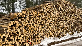 Lemnul de foc poate fi cumpărat online de la Romsilva. Care este prețul pe metrul cub
