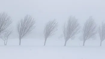 Aer siberian deasupra României. Prognoza meteo până pe 16 februarie nu aduce veşti bune