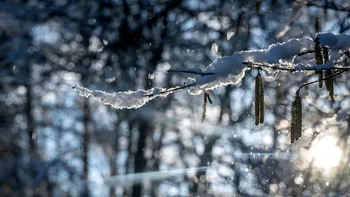 Când scăpăm de ger: meteorologii Accuweather anunţă când se încălzeşte vremea în Bucureşti