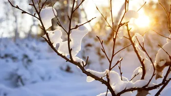 Când se încălzeşte vremea, după noul val de ger: temperaturile vor depăşi 10 grade Celsius