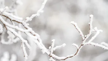 Harta frigului: gerul cuprinde aproape toată țara, vor fi -20 de grade Celsius. ANM a extins avertizările UPDATE