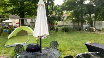 O căprioară se ascunde în imaginea de mai jos. Ai 19 secunde să o găseşti