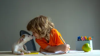 O nouă materie pentru elevii de clasele a V-a şi a VI-a, conform unui proiect. Ce este 