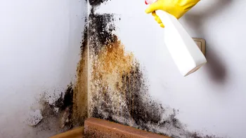 Trucul unui arhitect pentru detectarea umezelii în pereți. Tot ce ai nevoie este folie de aluminiu