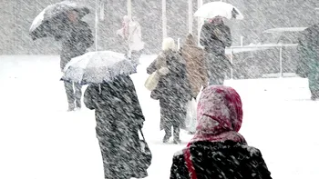Vin din nou ninsorile. Polei, viscol și coduri galbene până luni seară. Strat de zăpadă până la 50 de centimetri. Județele afectate de vremea rea