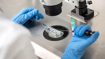 Vouchere de 15.000 de lei pentru fertilizare in vitro, în România: Cine ar putea beneficia de proiectul analizat de Guvern