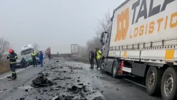 Cum s-a produs accidentul din Timiș: greșeala fatală făcută de șoferul microbuzului. Primele imagini de la locul tragediei