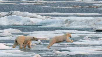 Arctica a intrat într-o nouă eră a fenomenelor meteo extreme, avertizează oamenii de știință