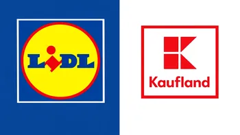România negociază cu patronii Lidl - Kaufland şi cu un gigant american proiecte-cheie pentru digitalizarea administrației publice