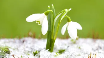 Cum va fi vremea în martie 2026. Prognoza meteo pe săptămâni. Meteorologii nu exclud ninsorile