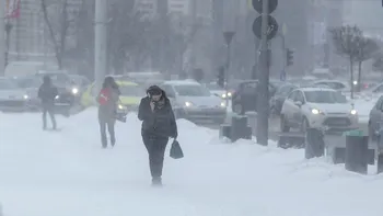 Efectele codului roșu de viscol puternic în București și 14 județe: copaci căzuți peste mașini, zboruri și trenuri afectate, Portul Constanța închis, trafic rutier închis