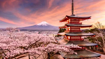 Festivalul cireșilor înfloriți din Japonia anulat din cauza turiștilor. De ce spun autoritățile că nu mai pot gestiona evenimentul