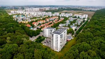 Drumul din Greenfield folosit ilegal de locuitori ar urma să fie reîmpădurit. Ministerul Mediului a constatat nereguli grave. Poziția Federației Greenfield Băneasa