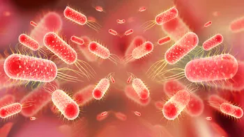 Febra tifoidă devine tot mai greu de tratat. Bacteria care o provoacă dezvoltă rapid rezistență la antibiotice