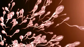 Vara, anotimpul în care spermatozoizii se mișcă mai bine. Ce au descoperit cercetătorii despre fertilitatea masculină