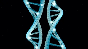 Genele și longevitatea: de ce noul val de studii sugerează o influență genetică mai mare decât credeam