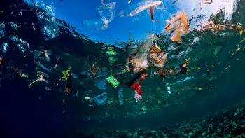 Plasticul care dispare în apă de mare într-o oră: descoperirea cercetătorilor japonezi care poate schimba lupta cu poluarea globală