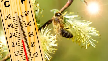 Vine primăvara. Temperaturile cresc brusc în toată ţara, anunţă ANM